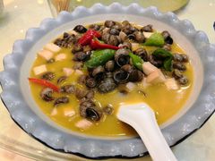 菌菇王汤丝螺-西新饭店(城中店)