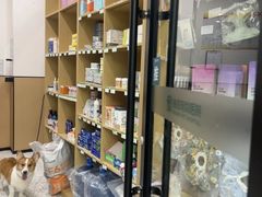 -瑞派康怡24h宠物医院·犬猫医疗中心·微创绝育(瑞景分院)
