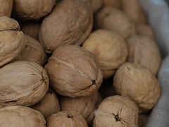 -新疆国际大巴扎