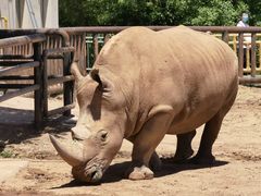 -鄂尔多斯野生动物园