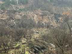 -涂山风景区