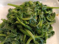 清炒高山豆苗-新南华大酒店(长寿店)