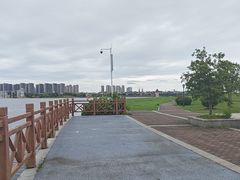 -九龙湖公园