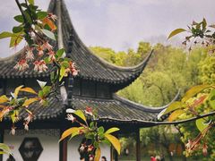 -西园戒幢律寺
