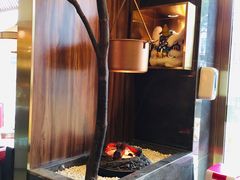 -捞神煲汤火锅(湖滨商业街店)