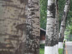 -北京大学赛克勒考古与艺术博物馆