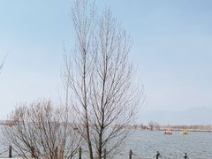 -野鸭湖国家湿地公园