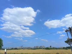 -白鹭湾湿地公园