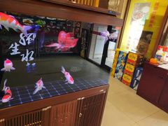-邵年鸽(杨庄店)