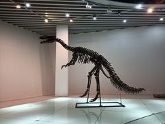 -烟台自然博物馆