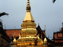 -西双版纳傣族园