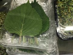 -盒马鲜生(莱蒙都会店)