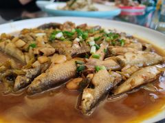 小杂鱼-山妹子土菜馆