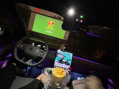 -枫花园汽车电影院(朝阳公园店)