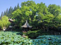 -松鹤楼(山塘街店)