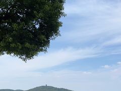 -水上明月·湖景餐厅