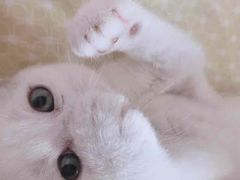 -中国工商银行(上海市徐泾支行)