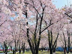 -龙美术馆(西岸馆)