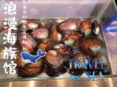 -十八字金·银饰·拼豆·开蚌DIY(魏公芳华里店)