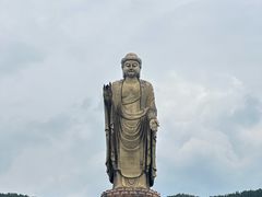 -中原大佛景区