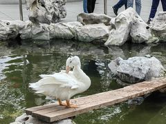 -静安公园(静安寺街道)