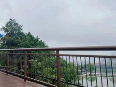 -武汉动物园