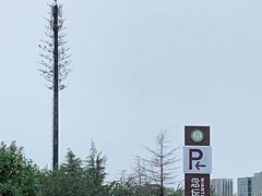 -大兴滨河森林公园