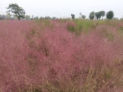 -汉长安城未央宫国家考古遗址公园