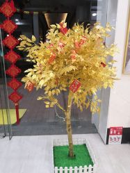 -DEM缔怡美科技美容