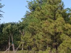 -辛庄国际文化艺术区