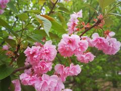 -北京植物园南门售票处