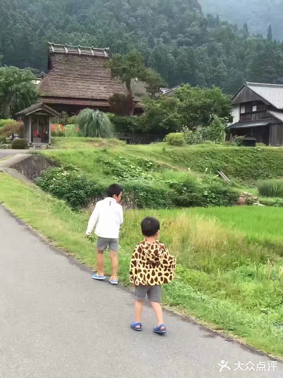 古老的草顶房屋