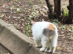 -西安外国语大学(长安校区)