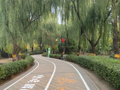 -古塔公园