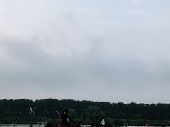 -月河湾马术俱乐部(朝阳店)