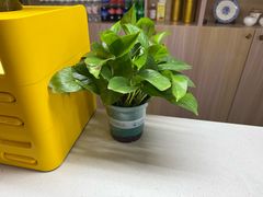 -耳域躺式采耳SPA馆(新街口店)