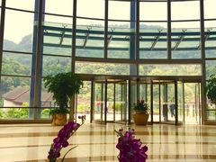 -中铁花水湾温泉酒店(大邑店)
