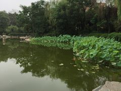-木塔寺遗址生态公园