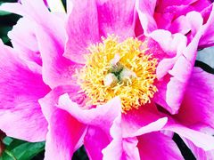 -长春公园(普阳街道)