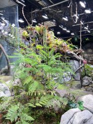 点击看大图 -Zoolung Zoolung动物主题公园(海信广场店)