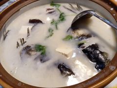 白汤有机鱼头-千岛湖小鱼儿·淳安匠心农家菜