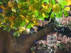 -城墙拐拐火锅(三峡广场黑金冠店)