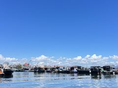 -蓝湾碧波·老字号·疍家非遗海上餐厅