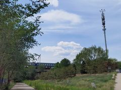 -永定河休闲森林公园