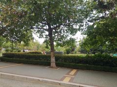 -山东外贸职业学院