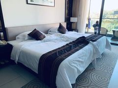 -河源万绿湖美思威尔顿酒店