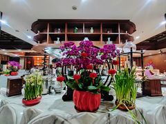 -大佛寺高级素食自助餐厅