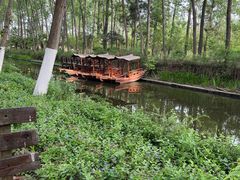 -合肥滨湖国家森林公园