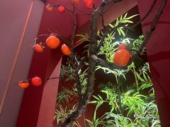 -拾宴(汇智国际商业中心店)