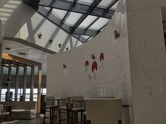 -虹桥机场国航贵宾室v8